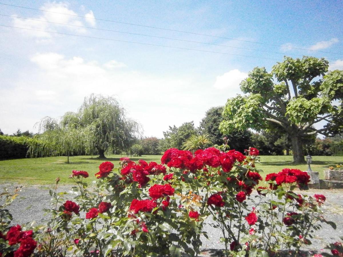 Saint-Fort-sur-Gironde Le Charhido Bed & Breakfast エクステリア 写真